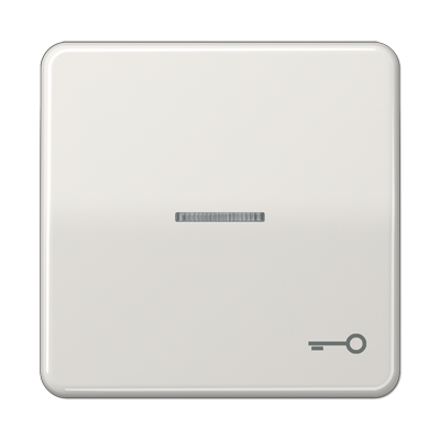 Jung CD590KO5TLG Wippe mit Lichtleiter, Symbol Tür, Duroplast, Serie CD, lichtgrau