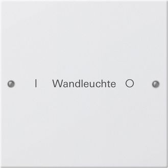 Gira 220103 Wippenset 1-fach beschreibbar System 55 Reinweiß lackiert