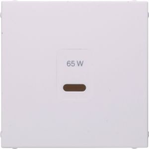 Berker 48601909 Zentralstück für USB Ladesteckdose Typ C, S.1, polarweiß matt