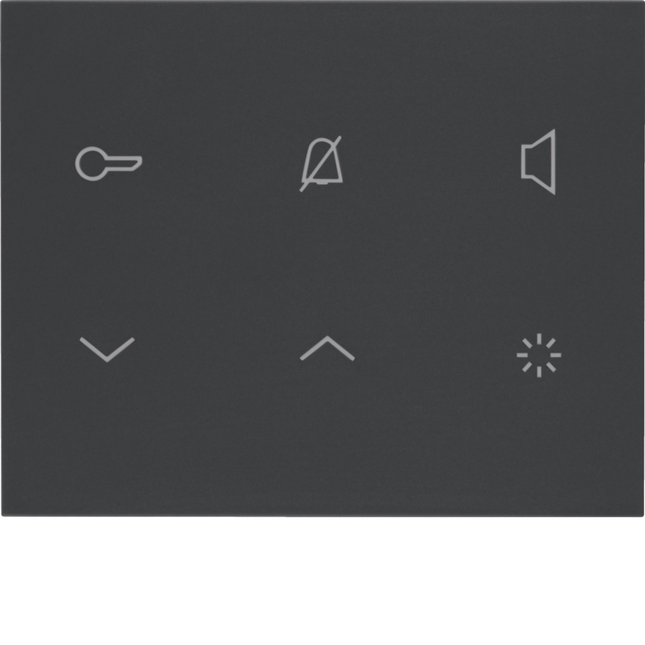Elcom REA114Y Innenstation Audio, Aufputz, 2-Draht, anthrazit matt, TOUCH