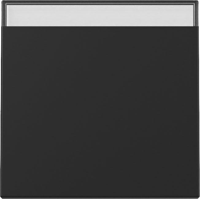 Gira 3299005 Wippe mit Beschriftungsfeld, System 55, schwarz matt