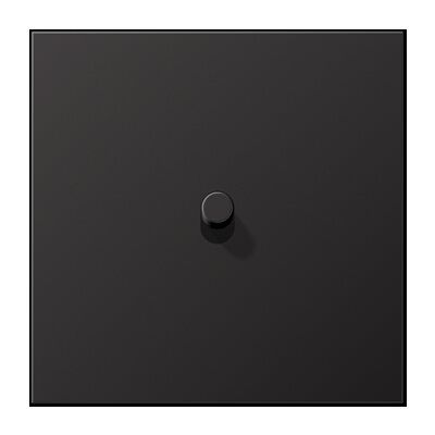 Jung AL12-0DR01 Abdeckung mit Kipphebel "Zylinder", 1 Kipphebel, Serie LS 1912, dark (lackiertes Aluminium)