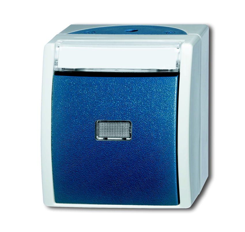 Busch-Jaeger 2621WN-53-201 Wipptaster Schließer 1polig, IP44
