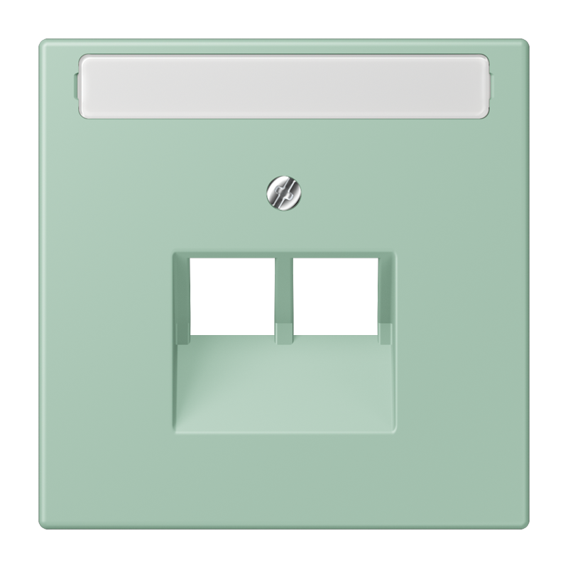Jung LC9692NAUA217 Abdeckung für IAE/UAE-Anschlussdosen, 2 x 8-polig, mit Schriftfeld, Les Couleurs® 32041, vert anglais clair